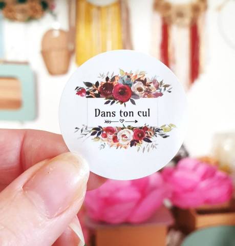 Sticker  Dans ton cul 
